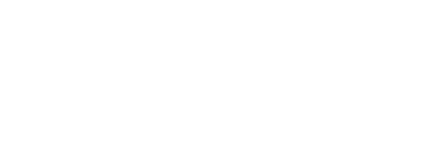domino entegre